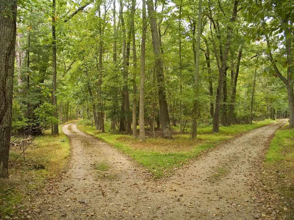 Two Paths