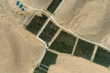 Israel's Desert Wineries
MITZPE RAMON, ISRAEL - AUGUST 3: An aerial view of the Nana Estate Winery vineyards that wined their way between the hills at the start of harvest season on August 3, 2022 near Mitzpe Ramon in Israel's Negev Desert. The modern vineyards in the desert follow in the footsteps of a 2,000-year-old Nabatean tradition of growing grapes in Negev's arid climate in what is fast-becoming the most terroir-driven wine region in Israel. (Photo by David Silverman/Getty Images)