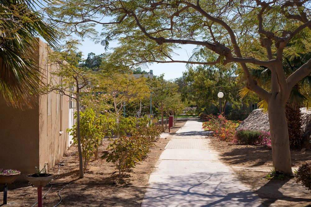 Kibbutz Negev
