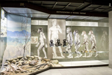 Darwin Museum